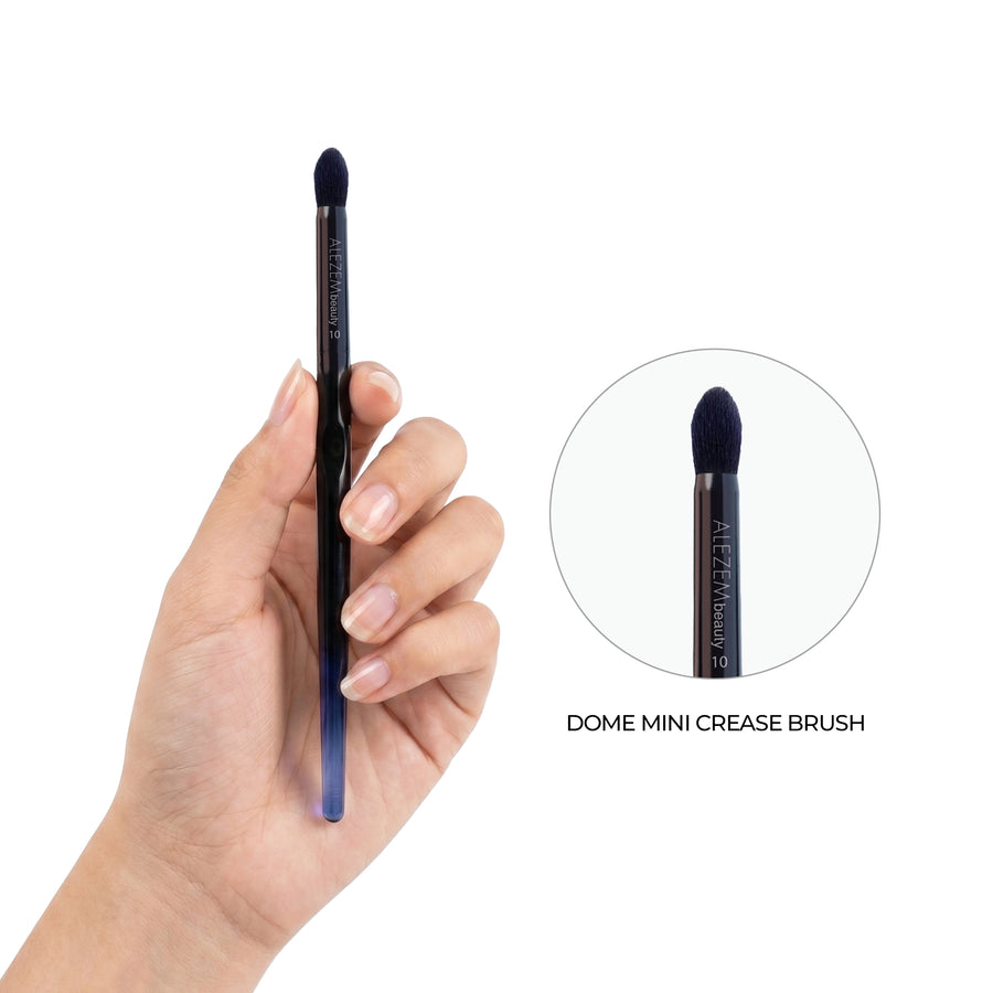 Alezem Pro Makeup Brushes Set