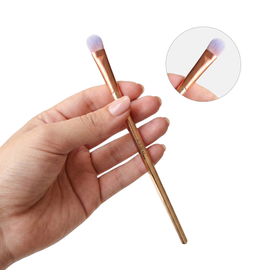 Alezem Set of 4 Eye Brushes in Rose Gold