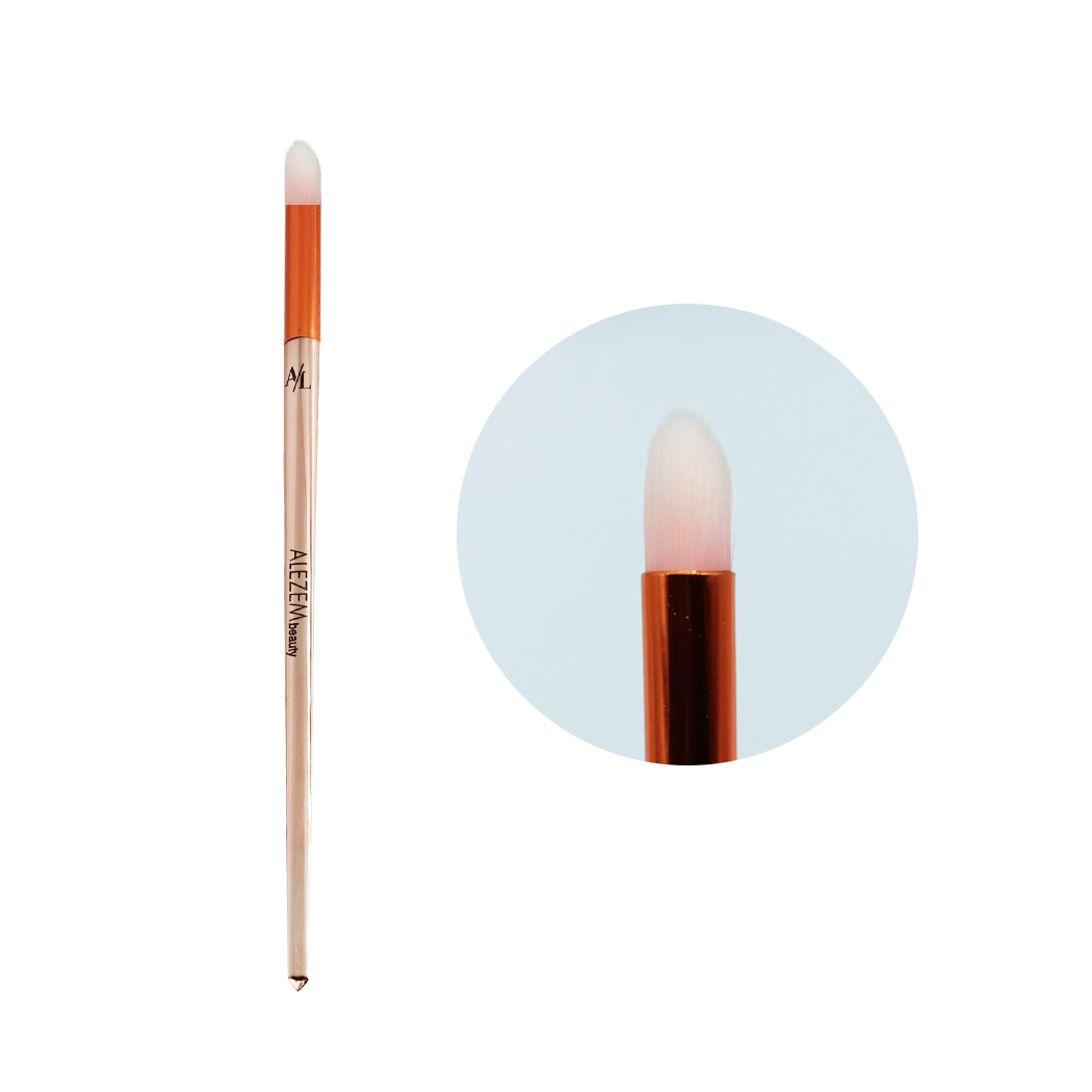 Alezem Set of 4 Eye Brushes in Rose Gold